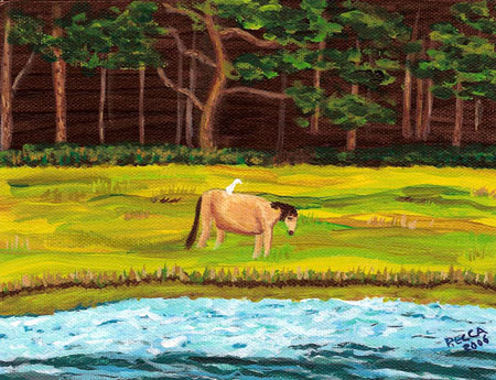 Acrylic Painting of Assateague Pony by Phyllis Recca