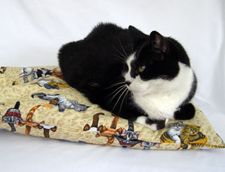 Phyllis Recca at her sewing machine
